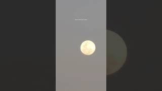 worm moon shorts moon sunset sky nature celestial march beautiful astronomy fyp viral [upl. by Eilhsa96]