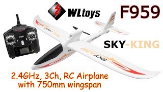 WLtoys F959 SKYKING 24GHz 3Ch RC Airplane with 750mm wingspan RTF [upl. by Ceporah]