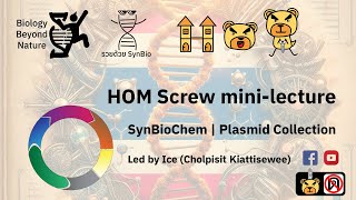 Live HOM Screw Minilecture  SynBioChem  Plasmid Collection [upl. by Anicnarf724]