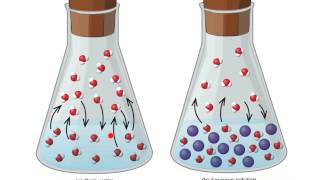 126 Colligative Properties of Nonelectrolyte Solutions 2 [upl. by Sall918]