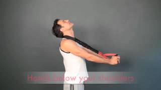 Pro Lordotic Neck Exerciser with Adam Fields DC [upl. by Llednil]