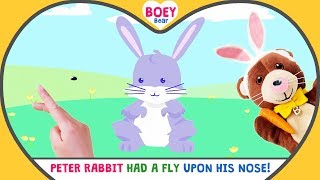 PETER RABBIT had a Fly upon his Nose Song  Baby Songs UK  Boey Bear [upl. by Schnurr]