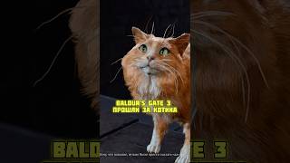 🐈 ДО ФИНАЛА ЗА КОТА в BALDUR’S GATE 3 🐈 baldursgate3 rpg [upl. by Urias]