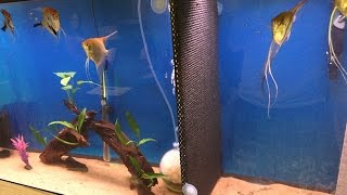 Diy Aquarium Divider [upl. by Pega19]