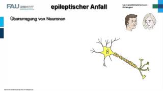 Neuropathologie ─ Epilepsie [upl. by Brittani743]