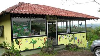 Butterfly Conservatory in Arenal Costa Rica [upl. by Novoj408]