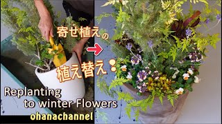 寄せ植えの植え替え🌼Replanting to winter Flowers❢ [upl. by Atal]