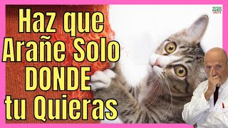 COMO HACER QUE MI GATO ARAÑE DONDE YO QUIERO 🐱Y EVITAR QUE ARAÑE LOS MUEBLES [upl. by Annabel]