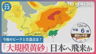 「大規模黄砂」12日にも日本へ飛来か…北京では“危険”レベル 今後のピークと注意点は？【news23】｜TBS NEWS DIG [upl. by Dnalrag]