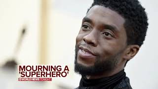 Chadwick Boseman Tribute LONG LIVE THE KING [upl. by Ahsac322]