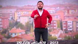 ÖZGÜR KOÇ  DİLEK AĞACI  2013 [upl. by Burchett]