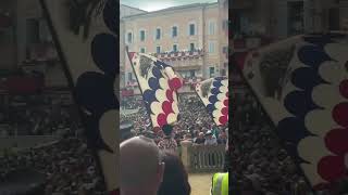 Palio di Siena 2024  Opening Ceremony Highlights palio horse horseracing jockey [upl. by Moss905]