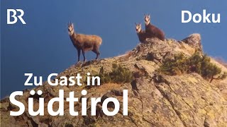 Berggasthöfe und Buschenschänken in Südtirol  Unter unserem Himmel  BR  Doku  Berge [upl. by Leahpar580]