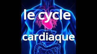 le cycle cardiaque [upl. by Ynatsed]