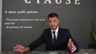 Audit Opinions Explained  Auditors Report in Financial Statements [upl. by Tierney]