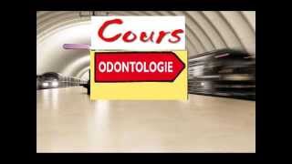 Cours dodontologie Science des dents ou comment devenir dentiste un métier de soin [upl. by Florencia347]