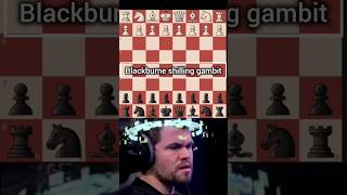 Blackburne shilling Gambit 😈 viewsviral chessstrategy chesstraps [upl. by Drusus887]