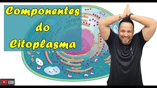 Componentes do Citoplasma  Composição das Células  Partes da Célula  Citologia [upl. by Abrahamsen966]