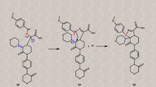 Apixaban anticoagulante mecanismos de formación del heterobiciclo de pirazolovalerolactama [upl. by Lapointe]