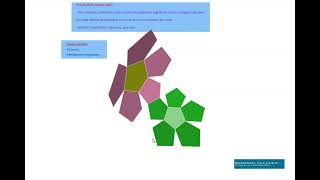 Poliedros regulares Dodecaedro Desarrollo plano [upl. by Norman]