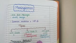 Meningioma Pathology [upl. by Nolram252]