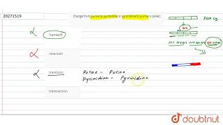 Change from purine to pyrimidedine or pyrimidine to purine is called [upl. by Hebrew474]