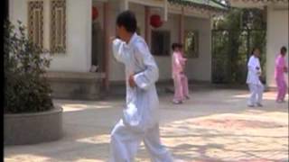 Chen Style Tai Chi Xinjia Yilu  Grandmaster Gou Kongjie [upl. by Drisko249]