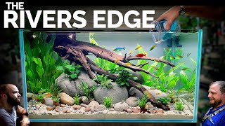 Rainbow Rivers Edge EPIC 3ft Aquarium Natural Style Aquascape Tutorial [upl. by Seow]