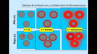 2º Curso Curar o no curar [upl. by Eiralc532]