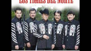 Al Mil Por Uno  Los Tigres Del Norte [upl. by Tammy592]