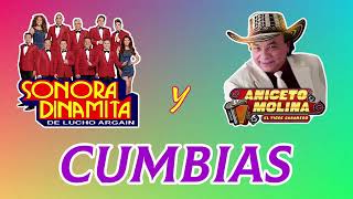 La Sonora Dinamita Vs Aniceto Molina  Cumbias viejitas pero bonitas para bailar [upl. by Nehte]