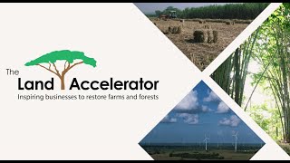 Land Accelerator South Asia Inspiring Businesses to Restore Farms and Forests [upl. by Aholah105]