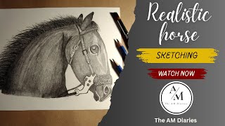 How To Draw Realistic Horse  Step By Step Tutorial of Horse Sketch  Drawing  horse [upl. by Neela368]