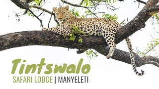 Tintswalo Safari Lodge in the Manyeleti Game Reserve South Africa [upl. by Ehlke]