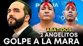 Noticias de El Salvador 19 de agosto 2024 El Salvador hoy 19 de agosto 2024 NAYIB BUKELE [upl. by Notnyw]