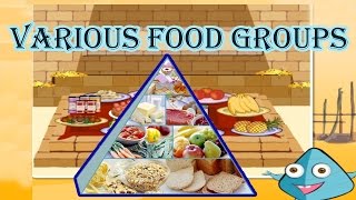 Food Pyramid The 5 Different Food Groups Learn the Healthy amp Unhealthy Foods Video for Kids [upl. by Hacker726]