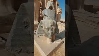 Ramesseum  The BLACK GRANITE Head Of King RAMESSES II [upl. by Liatnahs207]