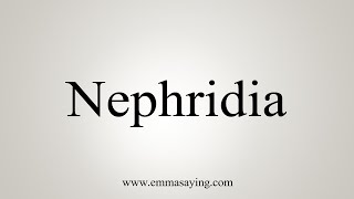 How To Say Nephridia [upl. by Bette]