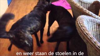 dekking lex en wanda zonder clip jan 2013 [upl. by Arriat214]