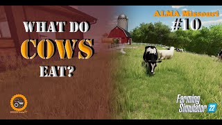 Meet Our New Herd Introducing the Cows  ALMA Missouri  FS 22  Episode 10 [upl. by Marcelline32]