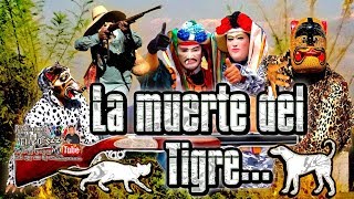 LA MUERTE DEL TIGRE O TIGRILLO DANZA DE TECUANIS 2020 HUEHUETLAN EL CHICO PUE [upl. by Arema]