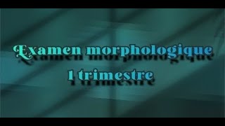 Examen morphologique 1 trimestre  part 2 [upl. by Anipsed329]