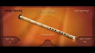 Sonokinetic Ney  Demo [upl. by Ettenav163]