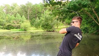 How To Fish Small Ponds  Bass Fishing Tips [upl. by Hyacinth793]