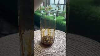 Boba Tea Recipe  Homemade Boba Tea shorts pritiskitchen [upl. by Inafetse]