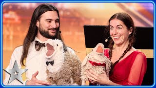 Ventriloquists Daniele amp Naimana sing OPERA with SHEEP  Auditions  BGT 2024 [upl. by Tertia]