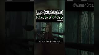 ロンの母モリーが放った呪文はアバダケダブラ！？ハリーポッター harrypotter [upl. by Connel]