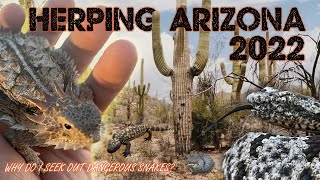 Herping AZ 2022  Why Do I Seek Out Dangerous Snakes [upl. by Blancha]