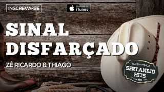 Sinal Disfarçado  Zé Ricardo amp Thiago Sertanejo Hits [upl. by Attenyt208]