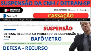 DETRAN SP SUSPENSÃO da CNH  Como fazer RECURSO [upl. by Sutelc59]